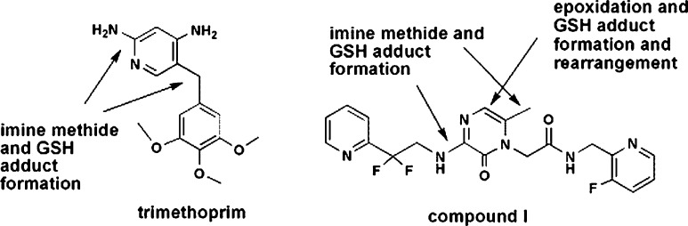 Fig. 8