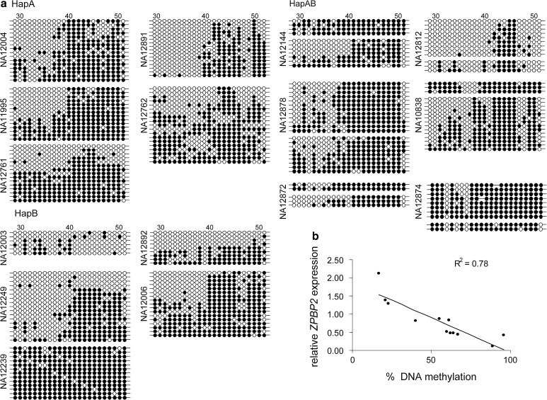 Fig. 3