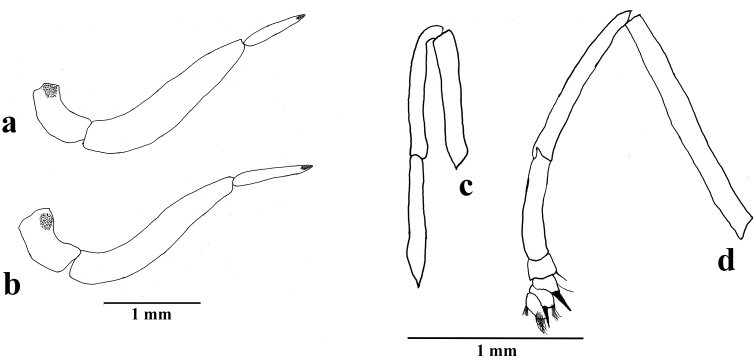 Figure 5.