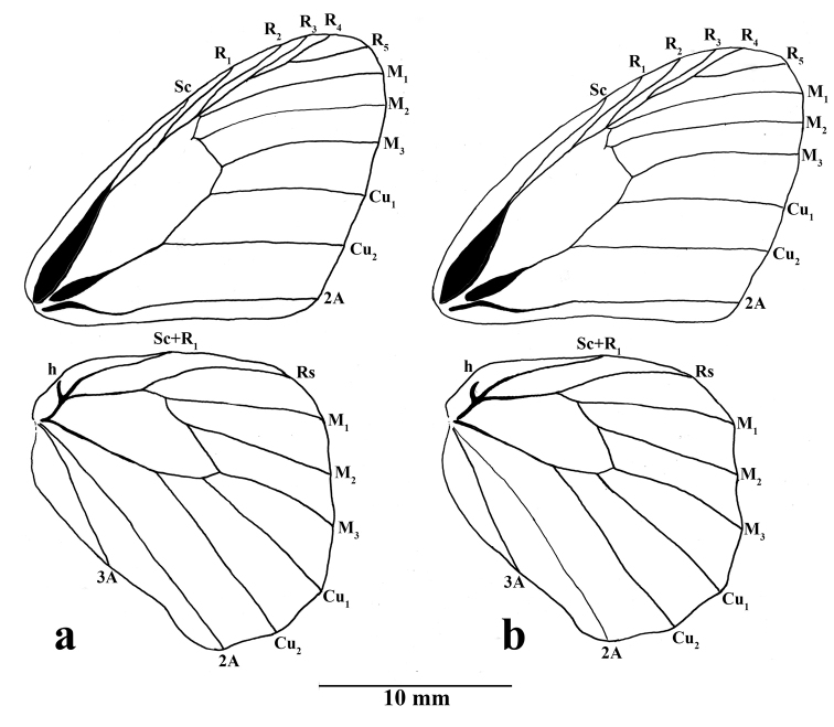 Figure 3.