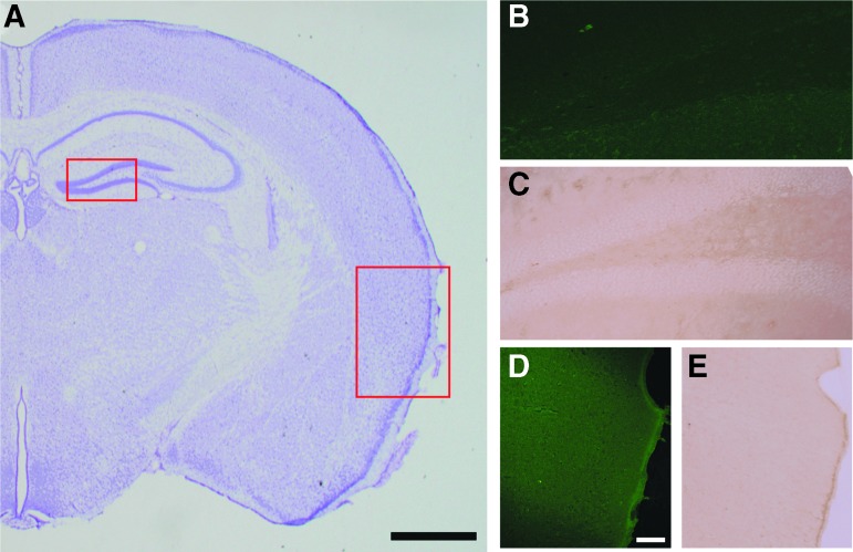 FIG. 8.