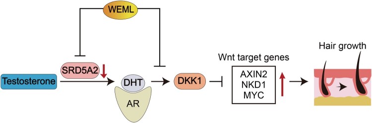 Figure 7.