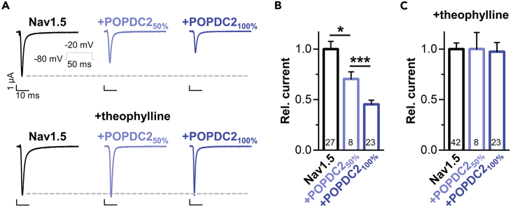 Figure 4