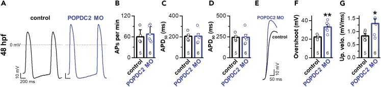 Figure 6