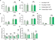 Figure 1—figure supplement 2.
