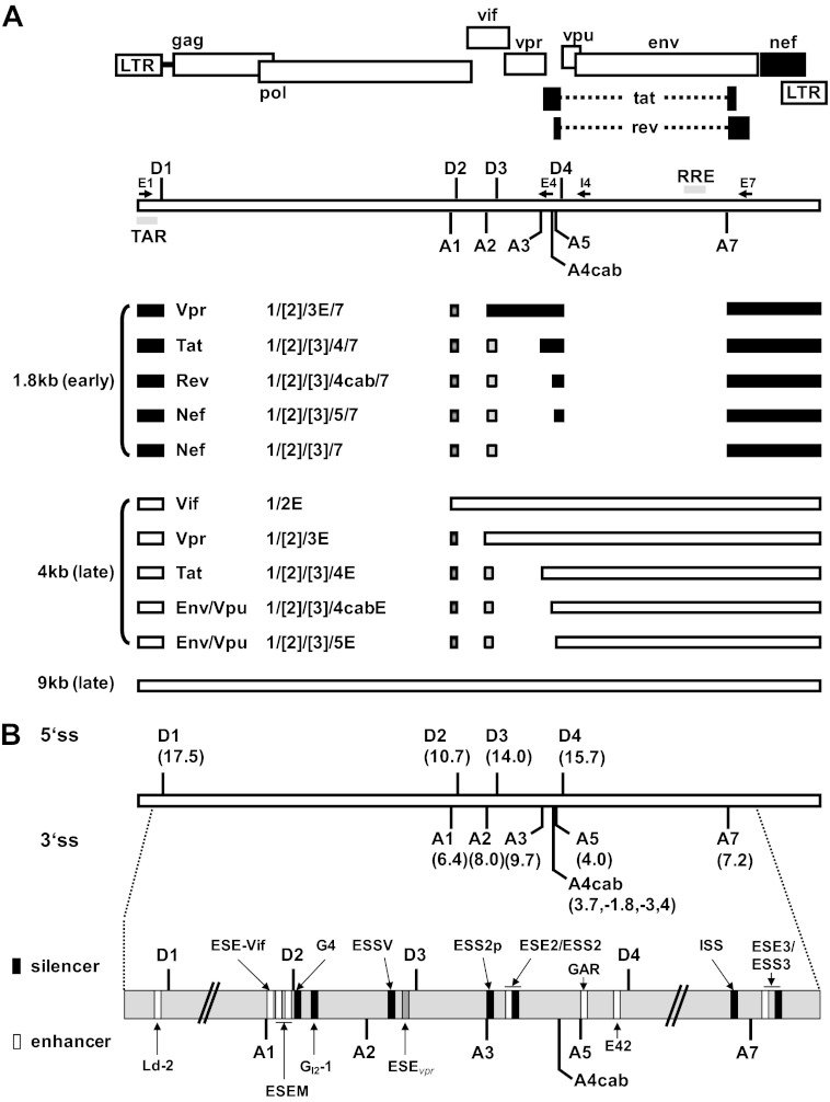 Fig 1