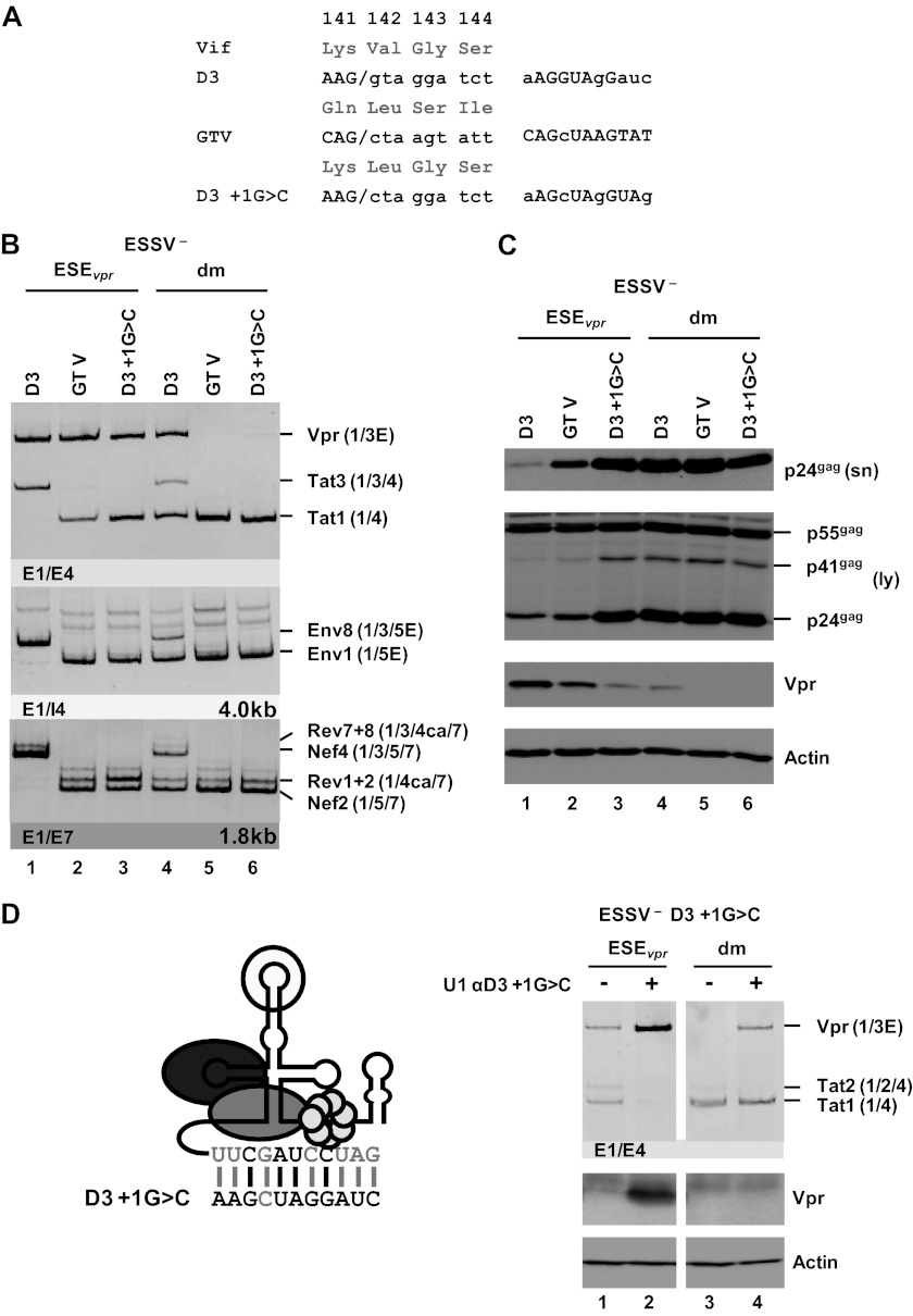 Fig 6