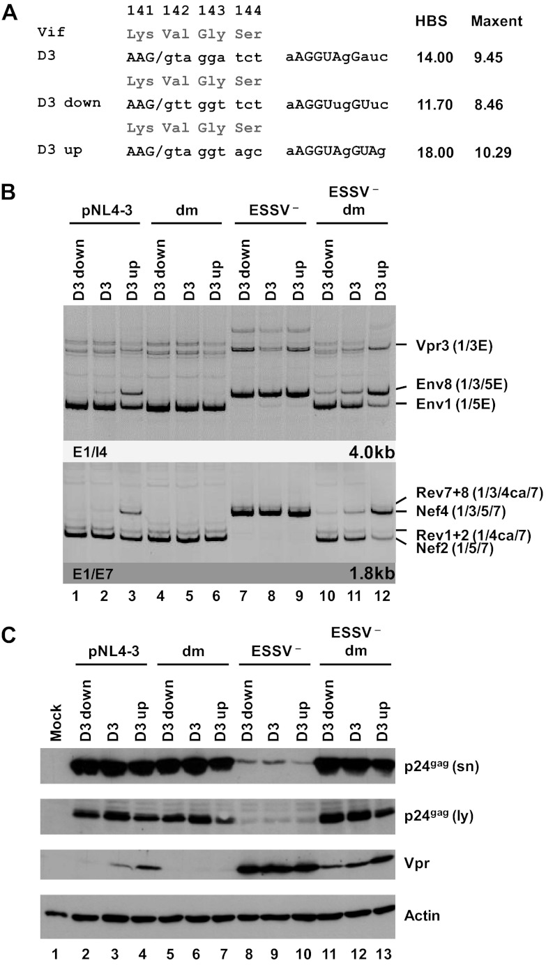 Fig 5