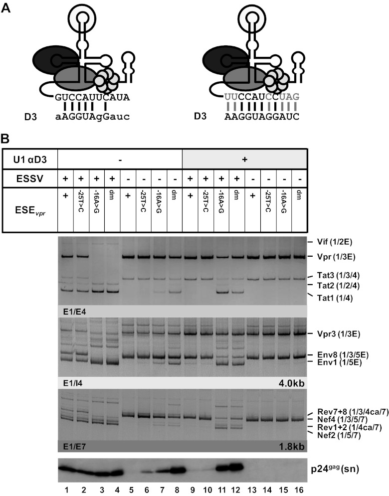 Fig 4