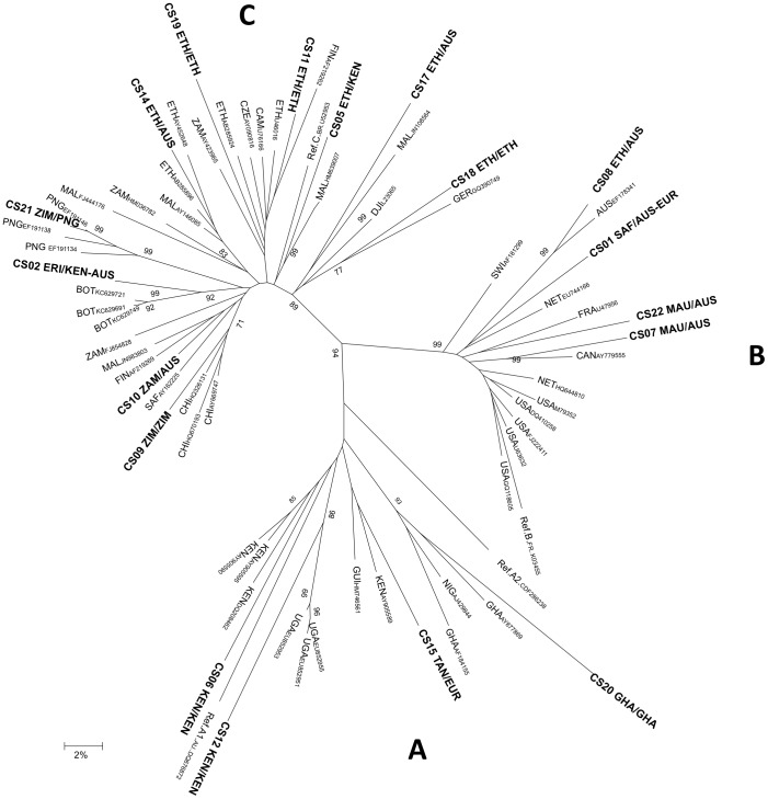 Figure 1