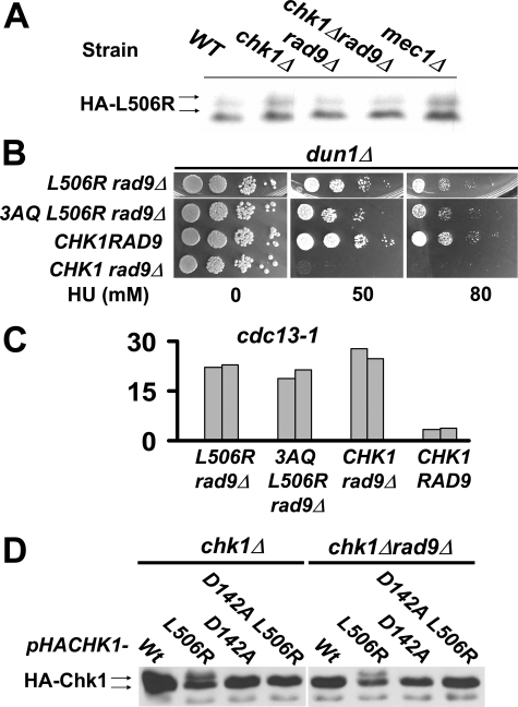 FIGURE 7.