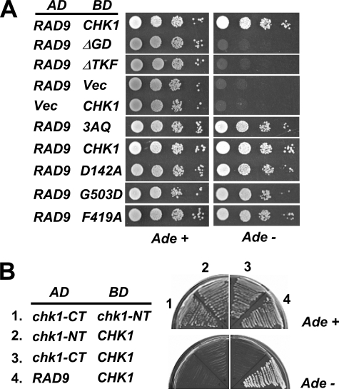 FIGURE 4.