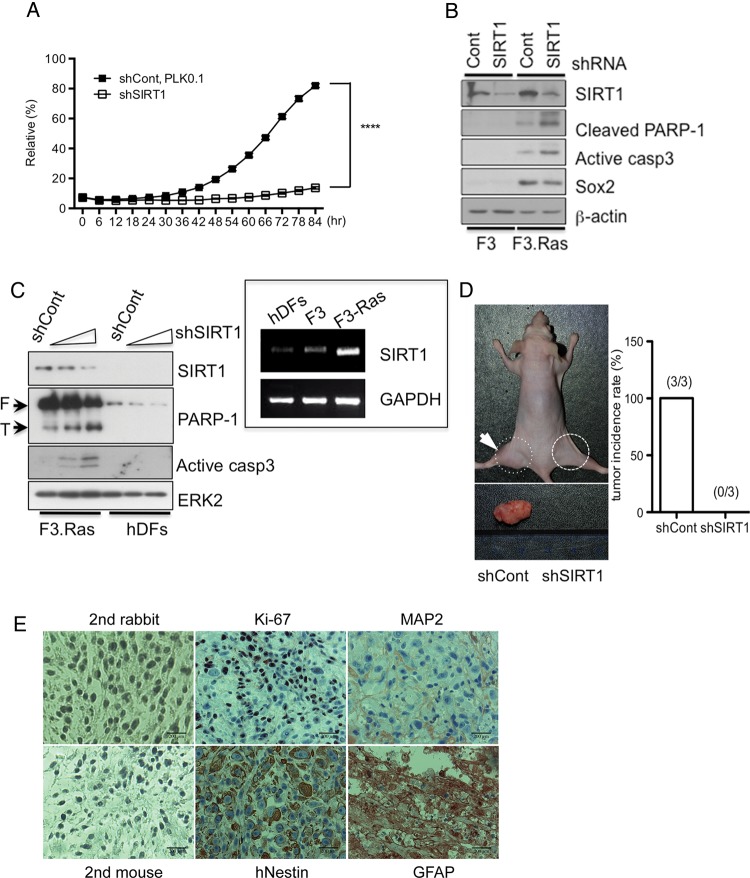 Fig. 3.