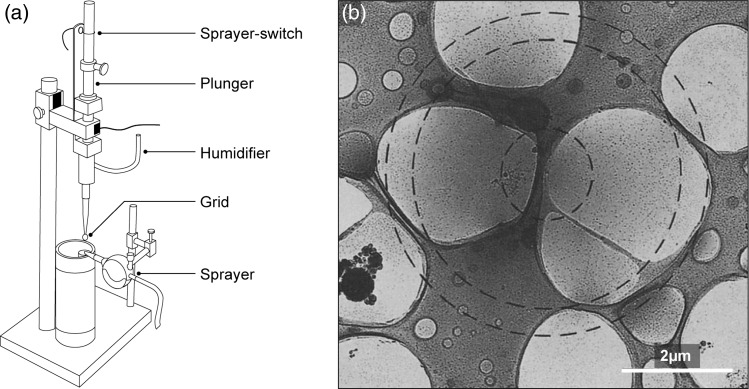 Fig. 1.