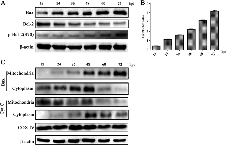 FIG 9