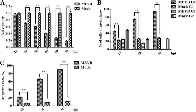 FIG 2