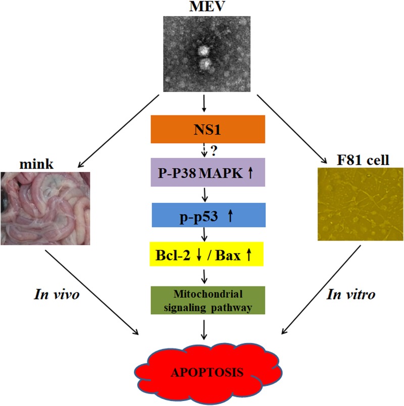 FIG 11