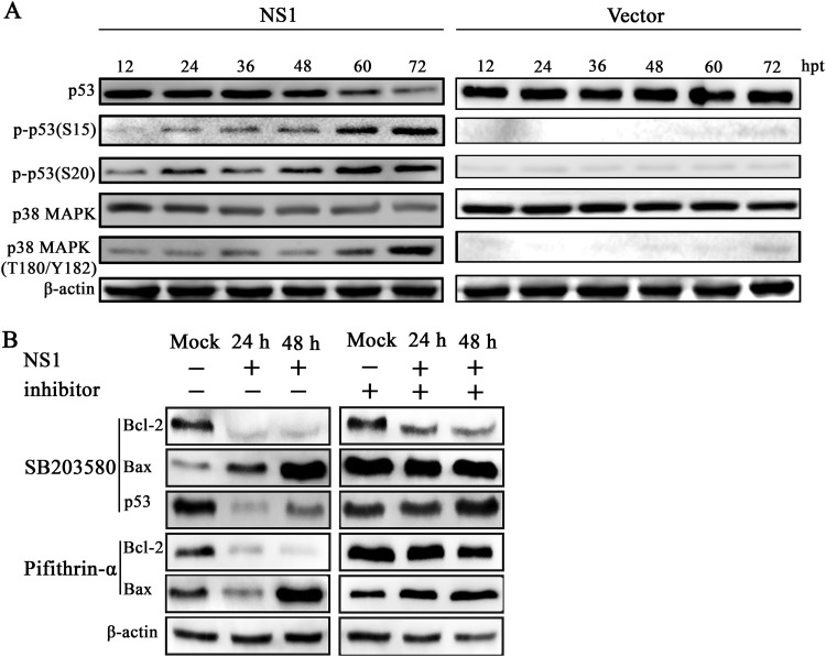 FIG 10