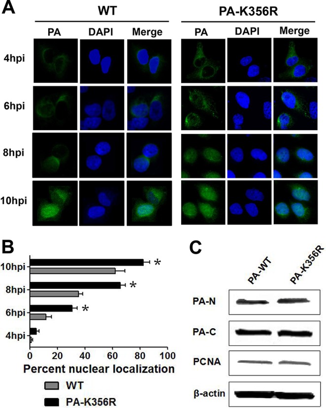 FIG 2