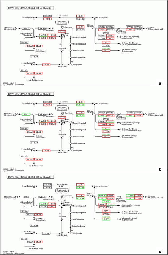 Fig. 7