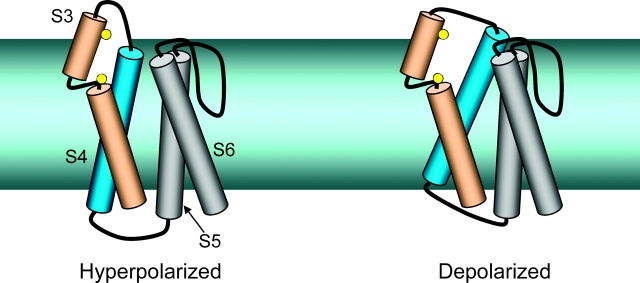 Figure 12. 