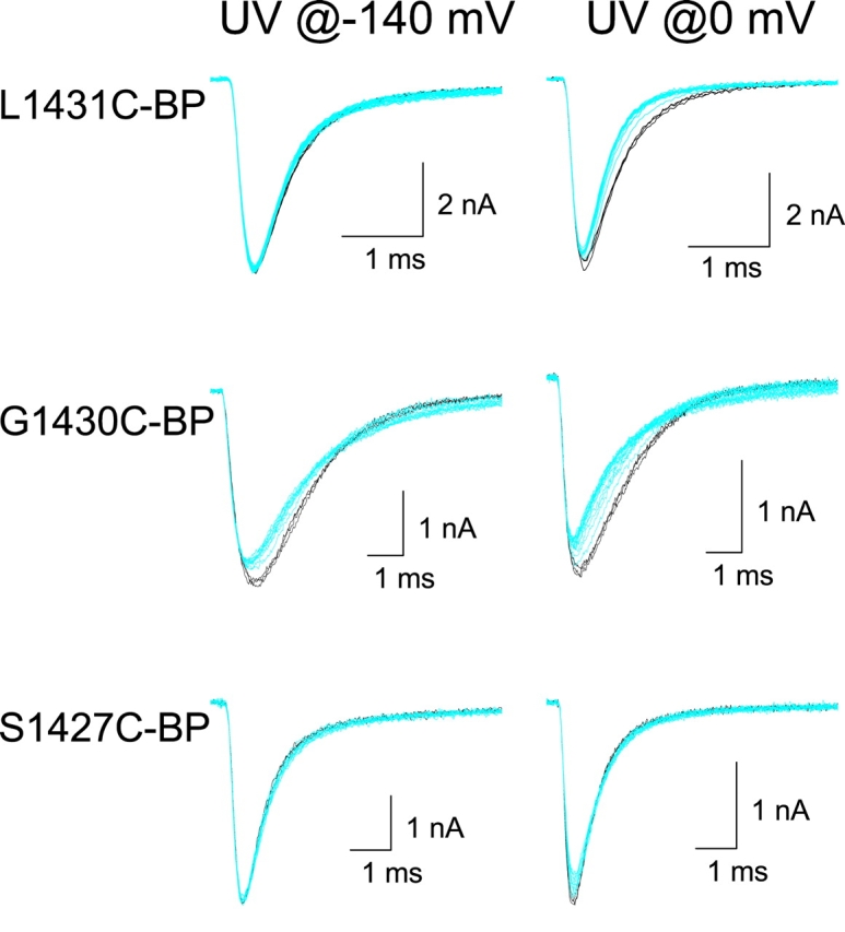 Figure 11. 