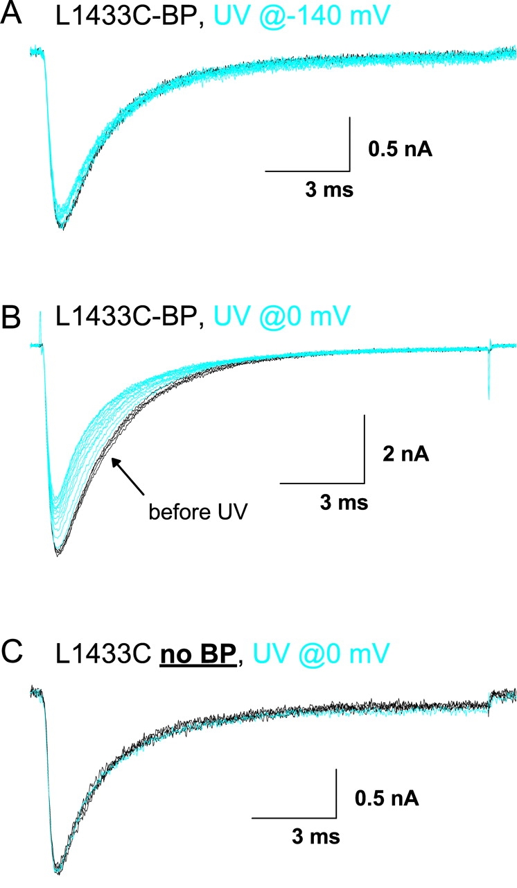 Figure 10. 