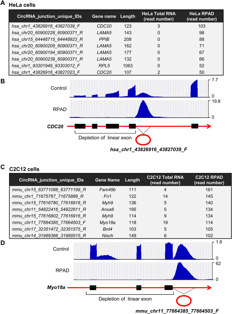 Figure 6.