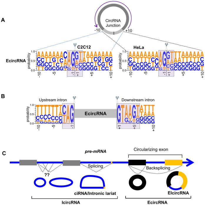 Figure 7.