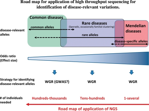 Figure 3.