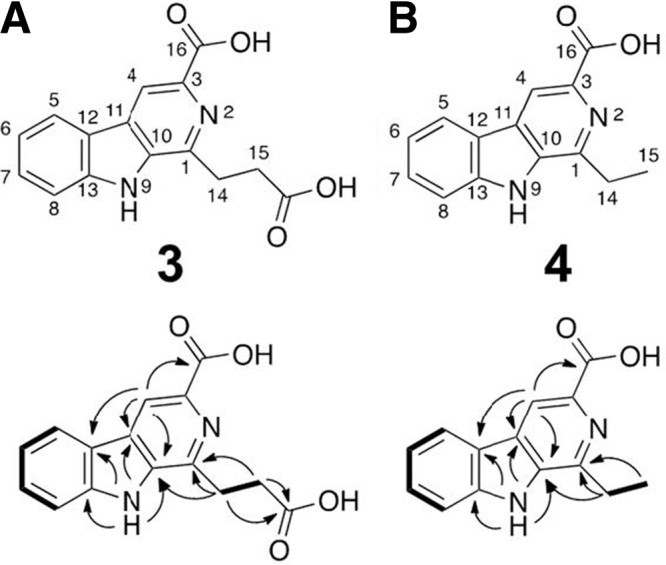 Fig 4