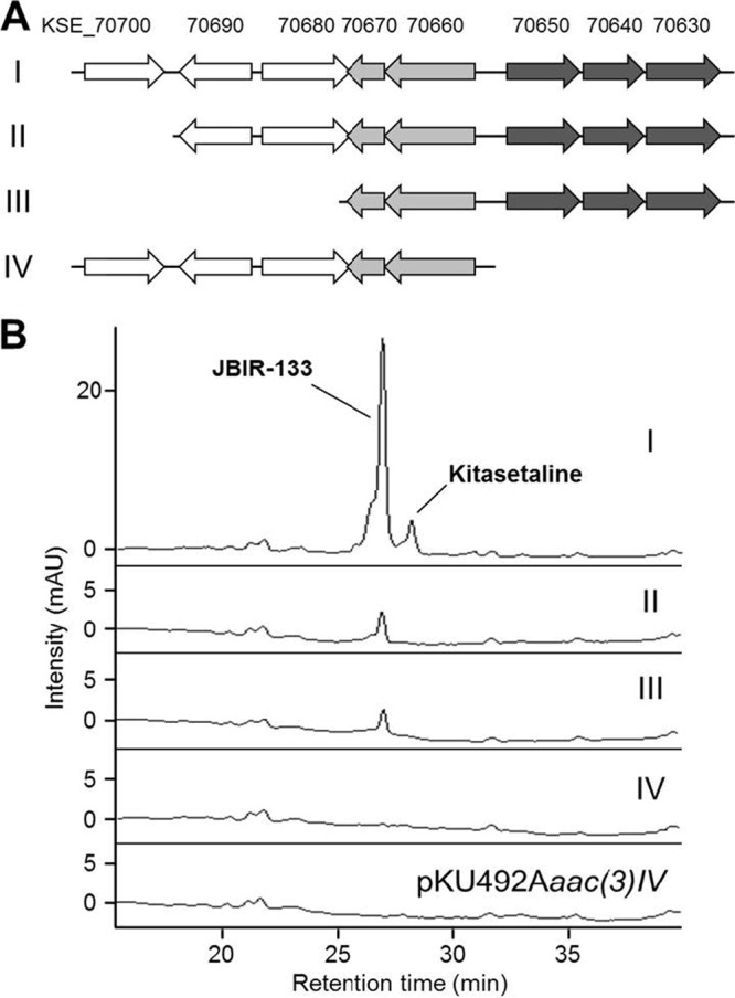 Fig 5