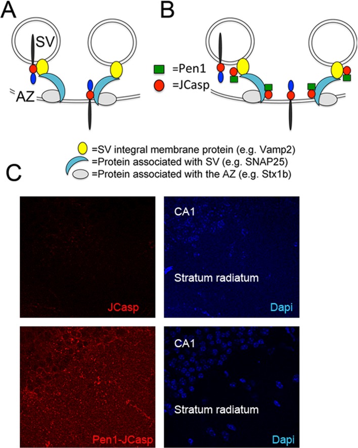 Figure 2.