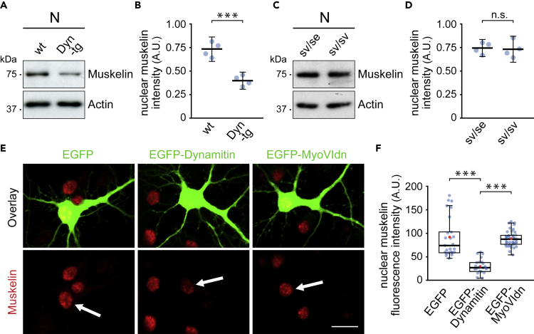 Figure 3