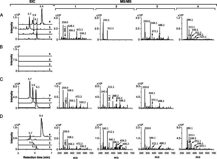 FIG 3