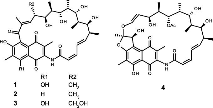 FIG 1