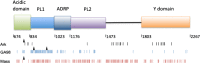 Fig. 2