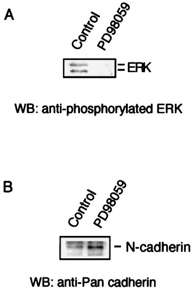 FIG. 8