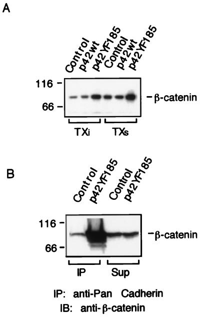 FIG. 10