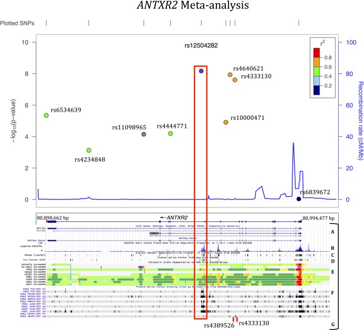 Figure 2