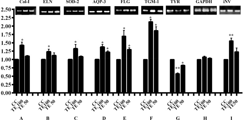 Fig 8