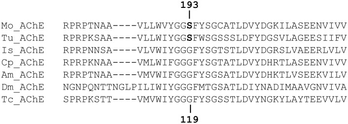 Fig 5