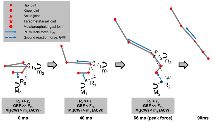 Fig 5