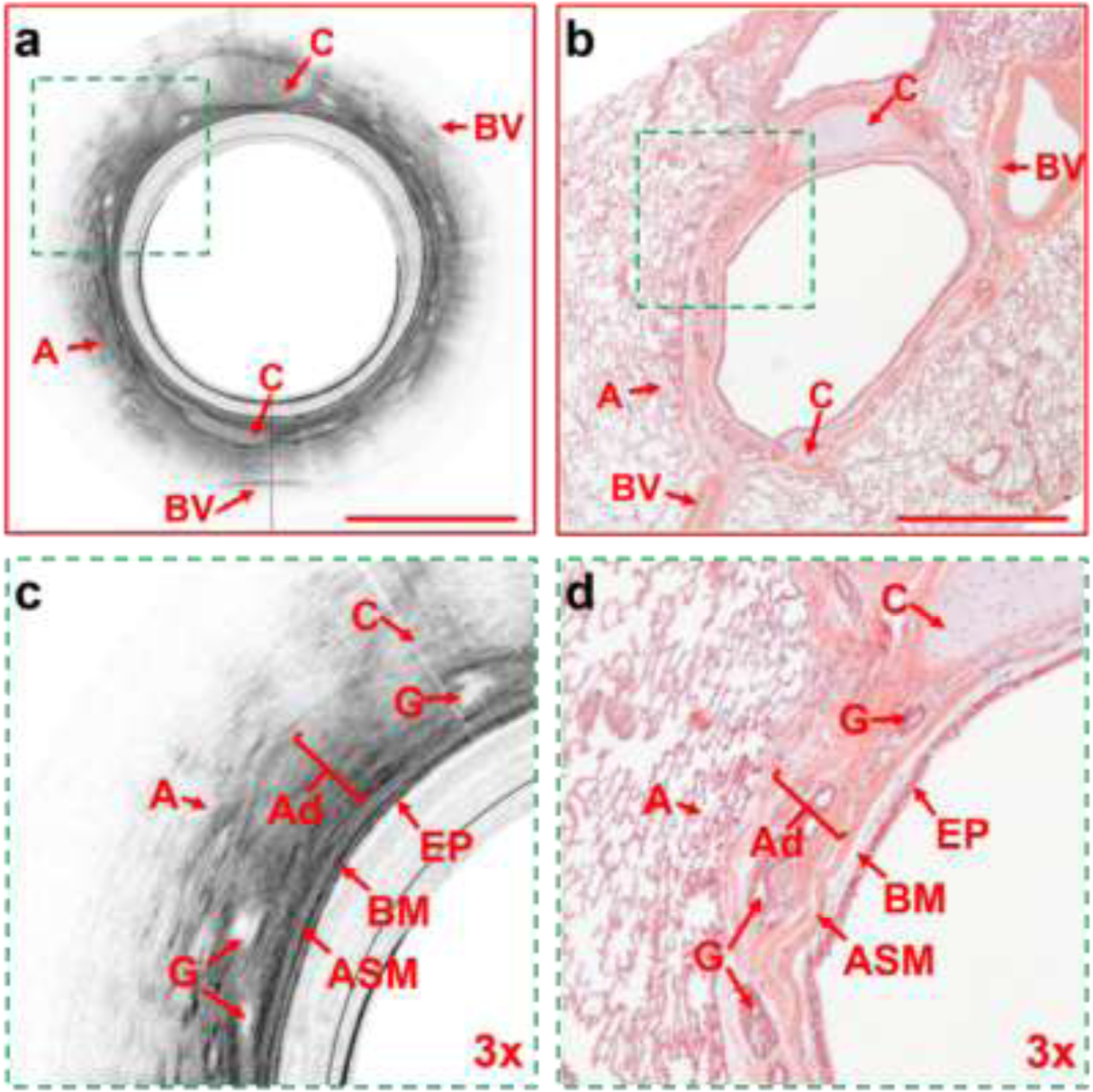 Figure 3: