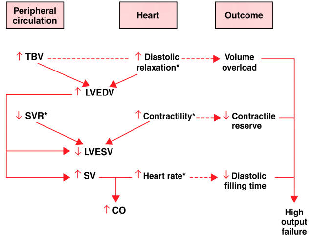 Figure 1:  