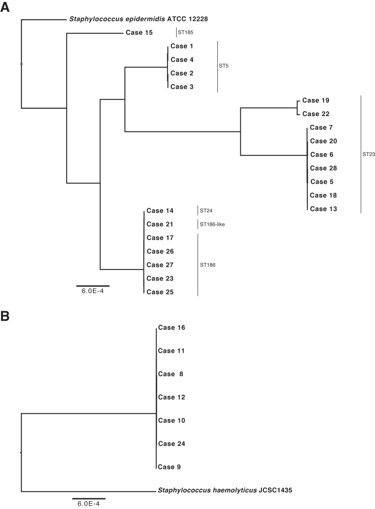 FIG 2 