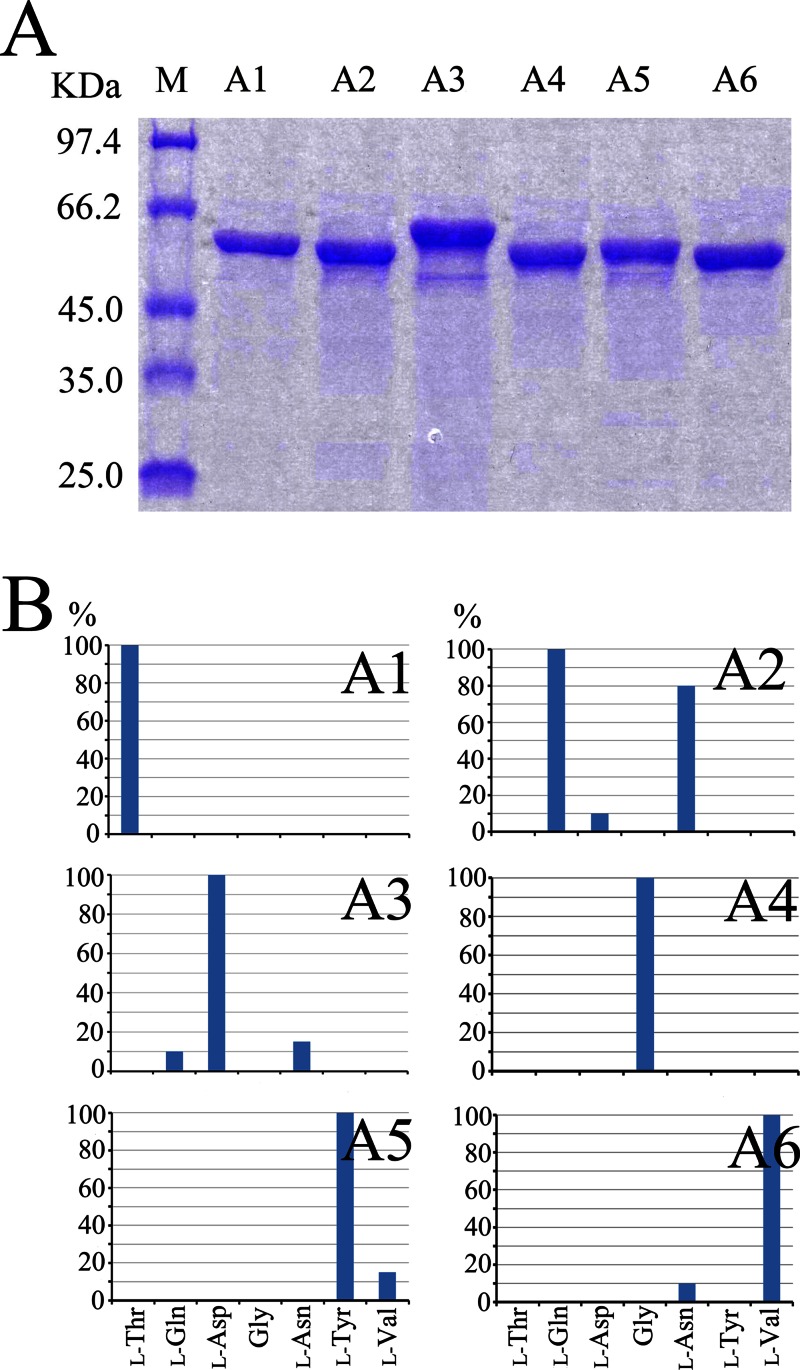 FIG 5