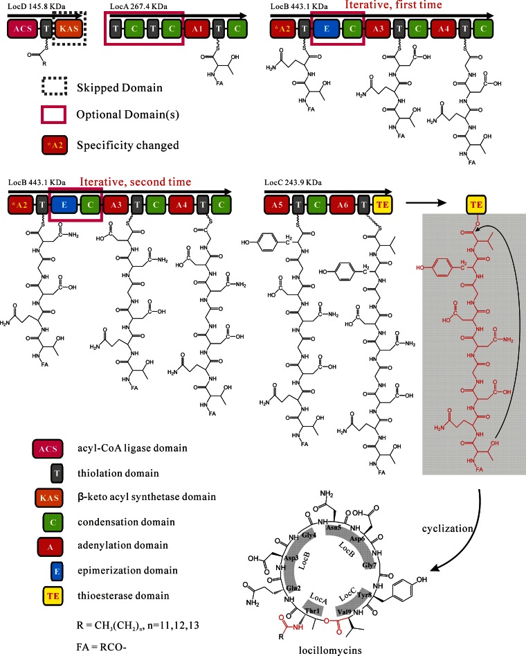 FIG 6