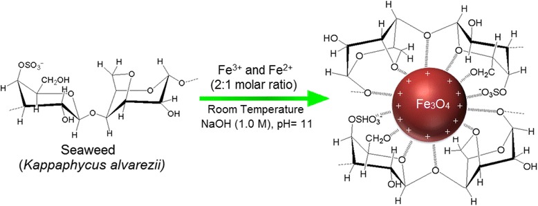 Fig. 6