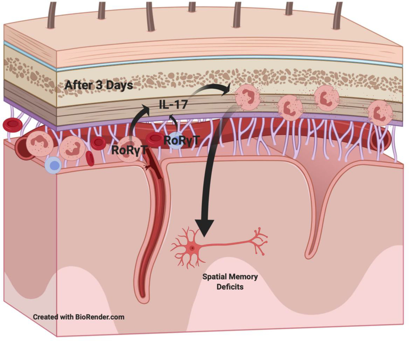 Figure 4: